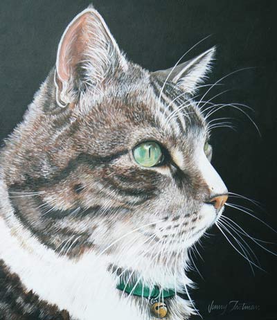 'Handsome Fellow' - acrylics on canvas