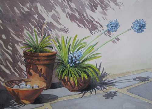 'Agapanthus' - watercolour